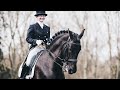 Control || Equestrian Music Video
