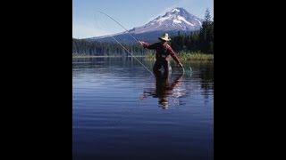 LFV, Fische und Fischerei, Teil 1, Salmoniden (VTS_01_2"