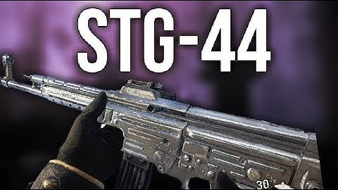 The Do-It-All | STG-44 Level 1000 P-Hami Review/Setup | Call of Duty WWII