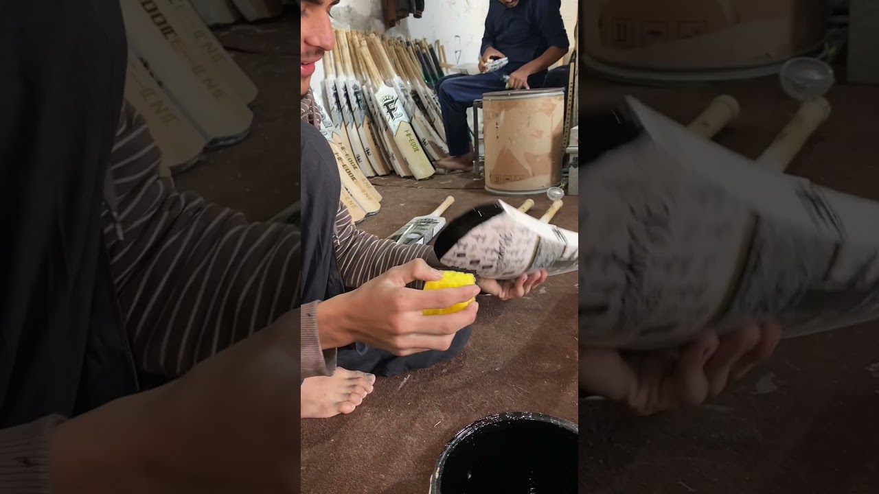 FPLUS Two-Guard Colour Cricket Bat | Power • Style • Performance 🏏🔥 