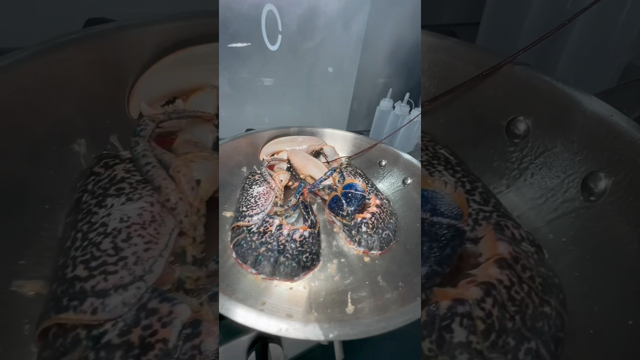 Préparer un Homard Bleu au beurre Corail. 