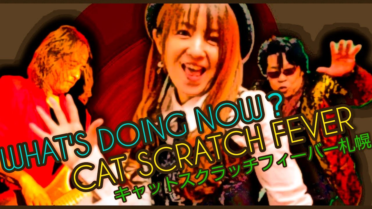 キャットスクラッチフィーバー札幌 Mv 全編 撮影 動画編集 全てをスマホで作りました Cat Scratch Fever Wha T Doing Now 撮影 Zippy Hall Youtube