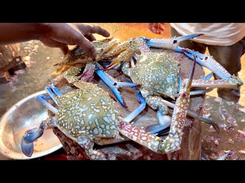Big Crab Cutting In Bangladesh Fish Market | Fish Cutting Skills - YouTube