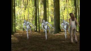 Jason Kahn, Animation #1