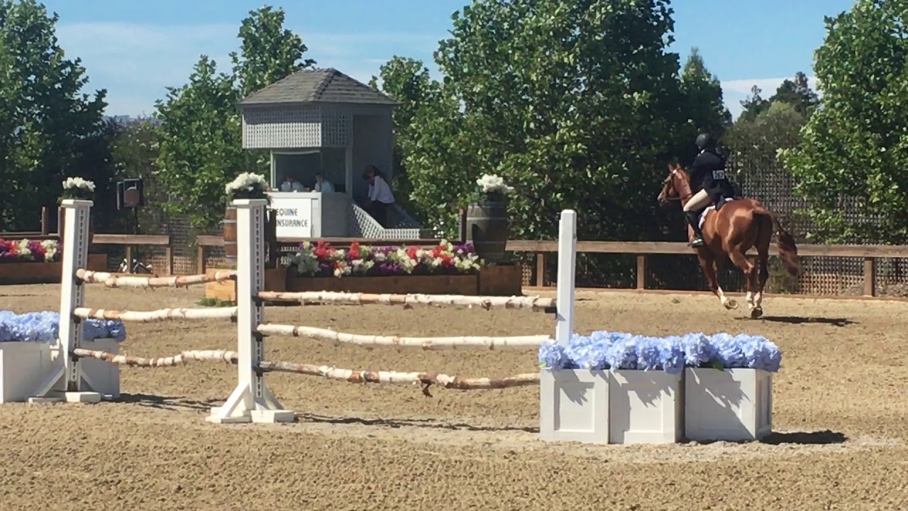 Lonan Z HMI Classic 2017