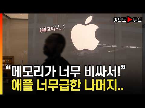 [Yeouido Tube] Cost Pressures and Declining Sales: Apple Plans Middle Management Layoffs / Money ...