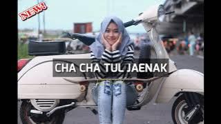 CHA CHA TUL JAENAK REMIX ✅ Lagu Pesta 2023 Terbaru 🌴