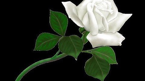Your Love - Jim Brickman/Michelle Wright
