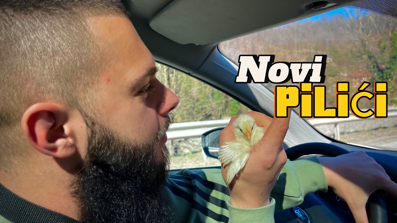 5 Ključnih Stvari Za Piliće u Prvih 5 Dana! Kupio Sam Još 23 Pilića! Novi Pilići Na Farmi!