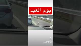 فرحة  الدجاج  والبط  يوم العيد