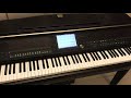 Go for Pok&eacute;mon Master, Rika Matsumoto, ポケモン  松本梨香 ポケットモンスター YAMAHA Clavinova CVP-407