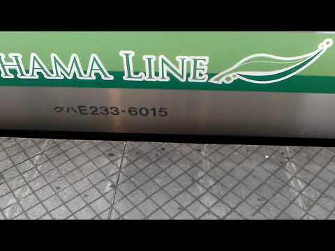 東神奈川駅2番線発車メロディ　窓の花飾り