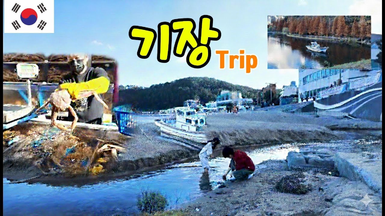 부산 여행, 아직도 해운대만 가세요? 요즘 기장에서 가장 핫한 필수 코스