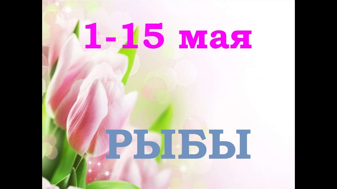 РЫБЫ🌺 1-15 мая. Общий таро прогноз.