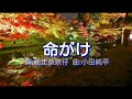 命がけ  (三代目大川竜之助 ) Junpei Ikeda