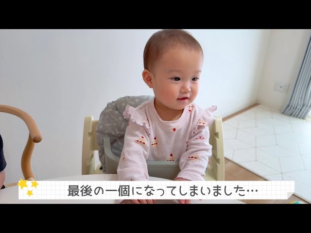 イワトコナマズ赤ちゃん ナマズ ベビー 700円（税込） #ナマズ #なまず #鯰 #マナマズ