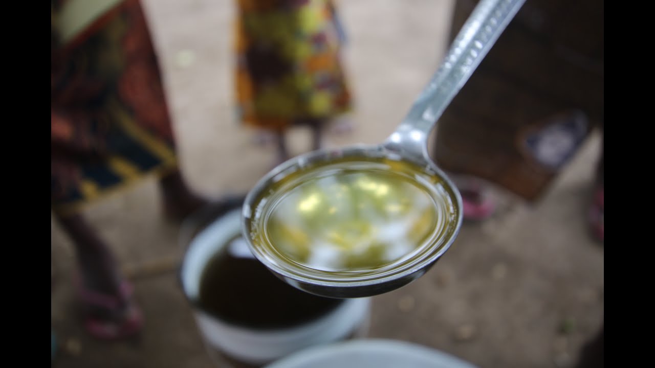 How Shea Butter Can Save the Planet | Priscilla Akpason Nwosu