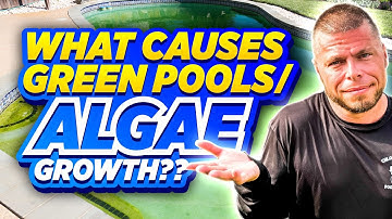 Why Your Pool Turned Green | Real Causes of Algae Growth & How To Fix It