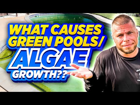 what-causes-green-pools-&-algae-growth-in-swimming-pools?-we-can-help-explain---chlorine-king