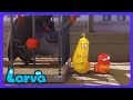 Larva - Redd den store vennen! | Barne-TV | WildBrain Eventyrfjellet