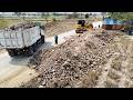 OMG!! Land filling process Using Powerful SHANTUI C3 And 24Ton Dump Trucks moving stone and soil