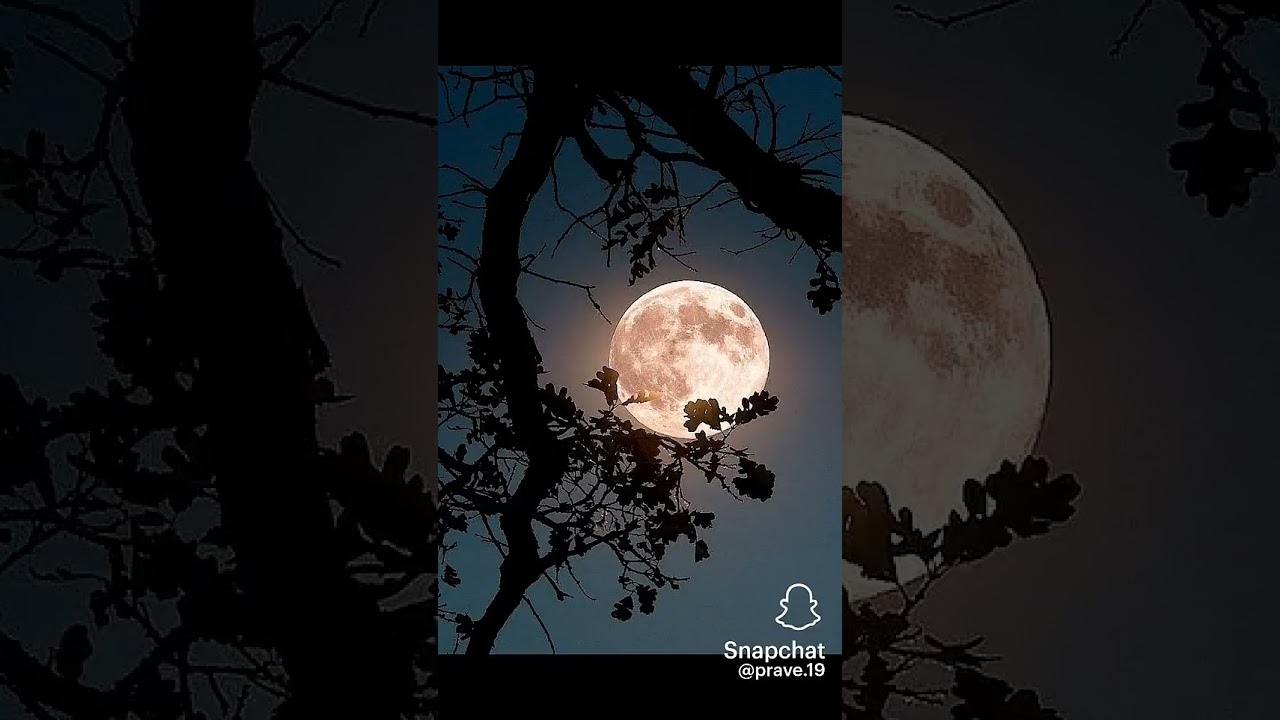 𝓴𝓪𝓽𝓱𝓪𝓲𝓵 🥰🥰