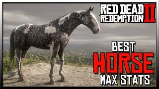 BEST Dead Redemption 2 Horse with - Red Dead 2 Horses - YouTube