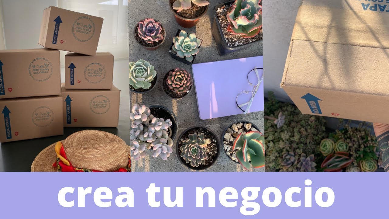 Cómo vender suculentas