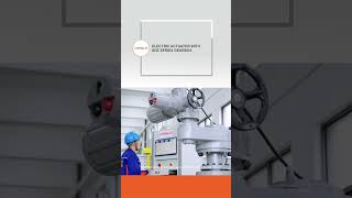 ELECTRIC ACTUATOR WITH SDZ SERIES GEARBOX-CHENGLEI