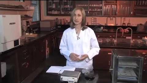 Gravimetric Water Content