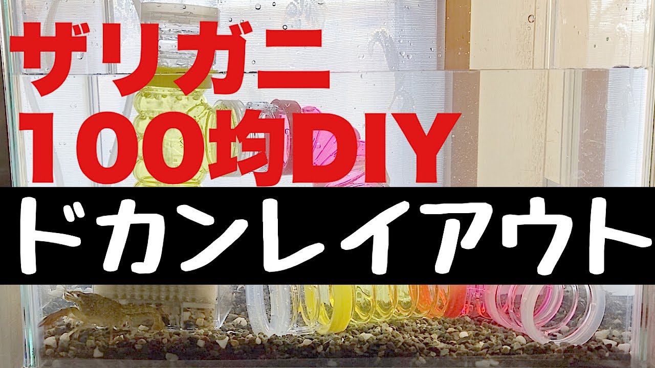 100均diyアクアリウム ザリガニのドカンレイアウト ダイソーハムスターパイプを使って Youtube 100均diyアクアリウム ザリガニのドカンレイアウト ダイソーハムスターパイプを使って Youtube