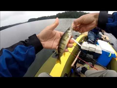 oregon trout fishing,