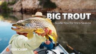 Tiny flies. Big trout. And a hatch that will test every ounce of your patience.
