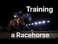 Training a racehorse. POV Taking a racehorse for exercise on the gallops from start to finish.