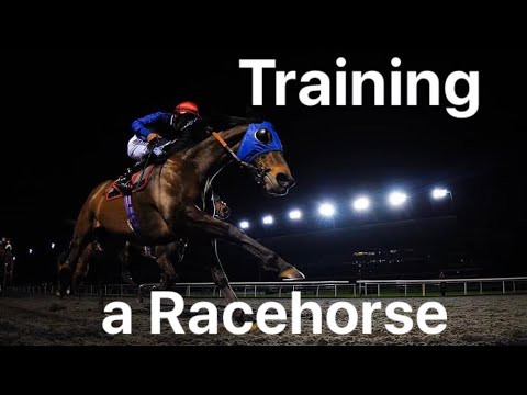 Video: Hästträningstips: Hur man tränar för tunna racing, med video