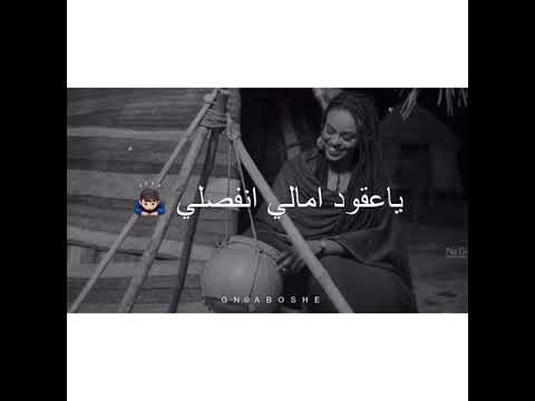 سهر القوافي عمر محي الدين ضاع صبري