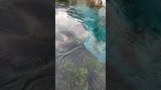 Akyaka Kadın Azmağı Tekne Turu Azmak Deresi