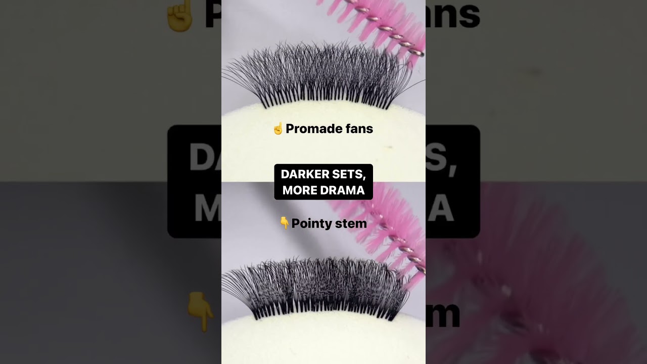 Introducing: Lash Jungle Ultra Dark Pointy Stem Premade Fans 🖤