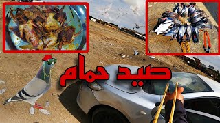 صيد وطبخ حمام الجزء 37