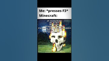 Minecraft F3 be like: