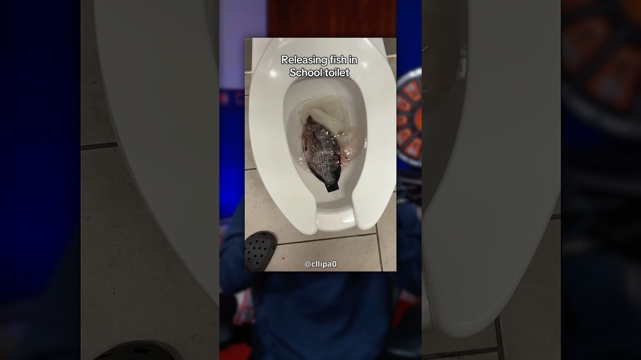 Самый страшный кошмар для любого уборщика 💀