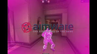 Head Only Ft.Aimware