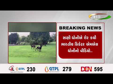 સાક્ષી ધોનીઍ શેર કર્યો ભારતીય ક્રિકેટર ઍમઍસ ધોનીનો વીડિયો..