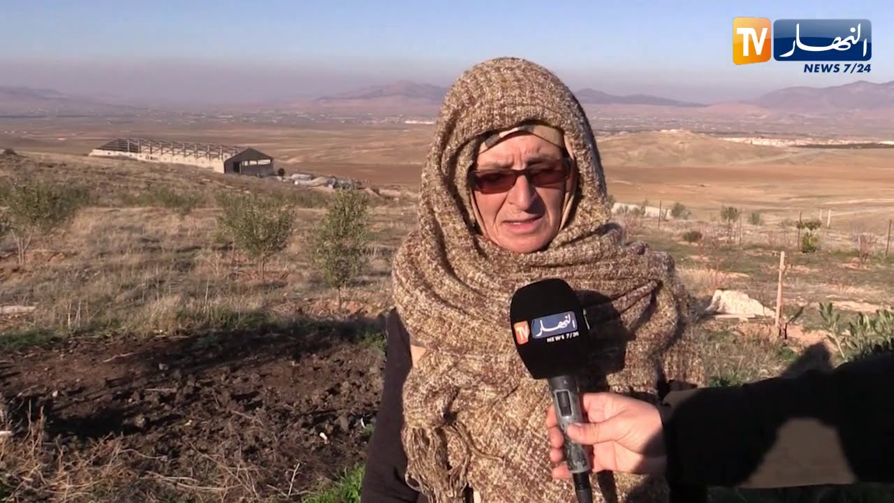 باتنة: عرجونة سعد الله.. قصة إمرأة تتشبث بأرضها رغم الظروف