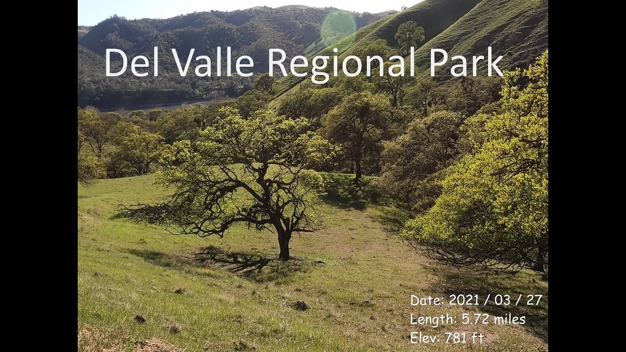 754 - Del Valle Regional Park