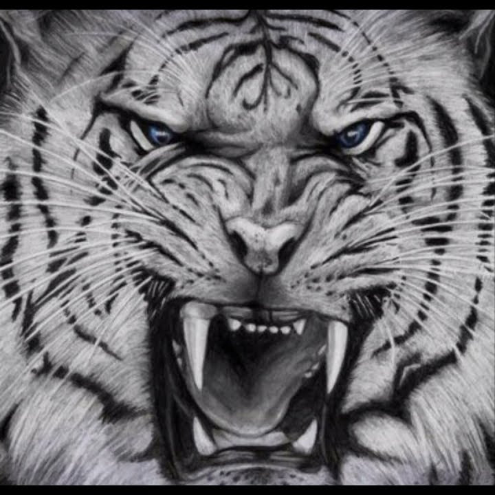 Padang tanpo lampu. wangi tanpo kembang