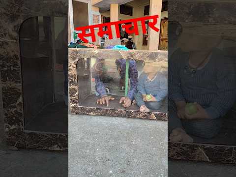 आज के समाचार फनी 🥺😀😅 #comedy #funny #like #comment #share #subscribe