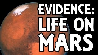 Five Bits Of Evidence For Life On Mars
