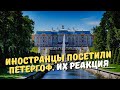 Иностранцы посетили Петергоф. Их реакция