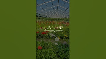 ‏﴿ وَكَفَىٰ بِرَبِّكَ وَكِيلًا ﴾ #القرآن_الكريم #تلاوة_خاشعة #شفاء_الصدور #لا_اله_الا_الله